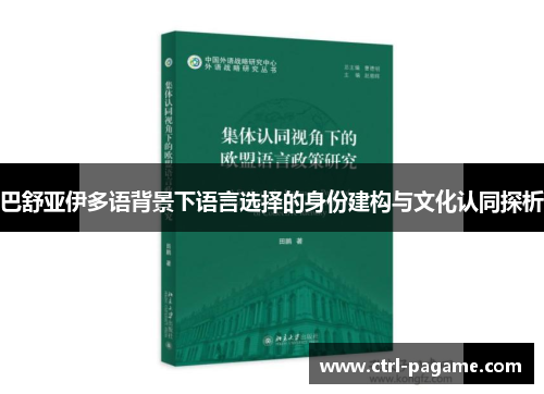 巴舒亚伊多语背景下语言选择的身份建构与文化认同探析