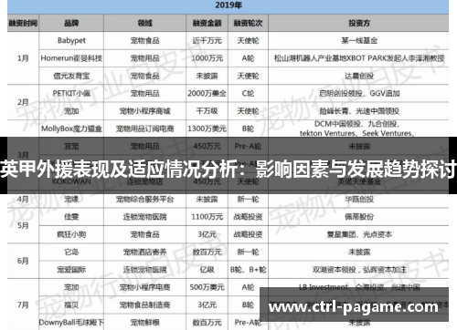 英甲外援表现及适应情况分析：影响因素与发展趋势探讨